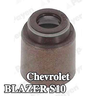 PAYEN حشية صمام — Chevrolet Blazer S10
