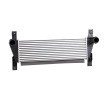 RIDEX Intercooler — Ford Ranger (2)