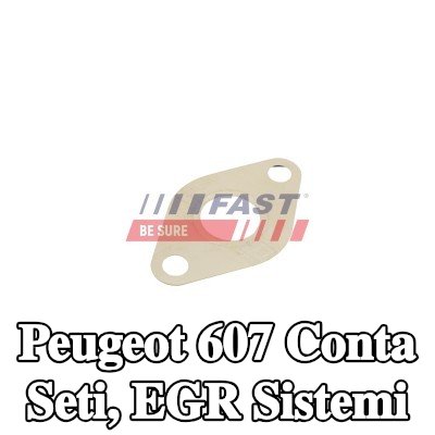 FAST Conta seti, EGR sistemi — 2002 Peugeot 607
