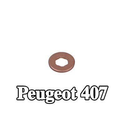 CITROEN/PEUGEOT حشية حاقن الوقود — Peugeot 407