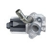 HELLA Contalı/sızdırmazlık elemanlı EGR valfi — Ford Transit (4)
