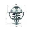 MAHLE Termostat 82°C, 56mm, 29mm, contalı/sızdırmaz — Toyota Echo (1)