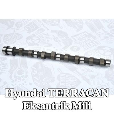 ET ENGINETEAM Eksantrik Mili — Hyundai Terracan