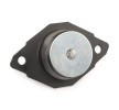 FEBI BILSTEIN Motor yatağı Sol Arka, Elastomer — SEAT Inca (3)