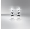 OSRAM LED ampul — Citroën Dispatch (5)