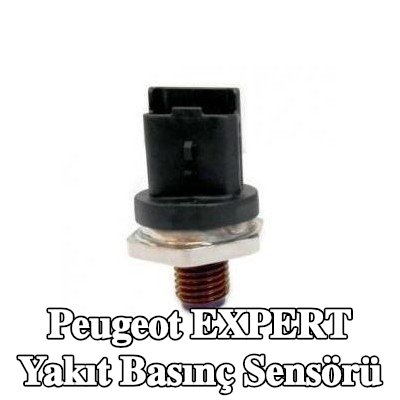 BOSCH Yakıt basınç sensörü Yüksek Basınç Tarafı — 2002 Peugeot Expert