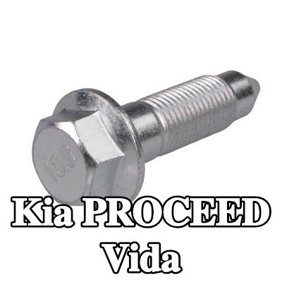 TEDGUM Vida — Kia Proceed