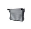MAHLE Intercooler — Volkswagen Beetle (4)