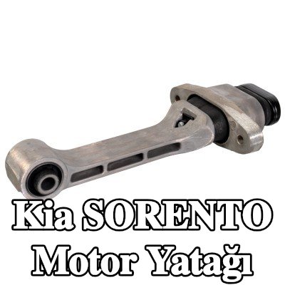 FEBI BILSTEIN Motor yatağı Orta, Ön — Kia Sorento