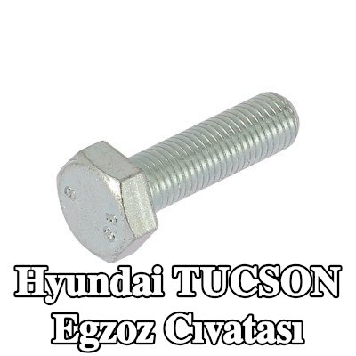 WALKER Egzoz cıvatası — Hyundai Tucson
