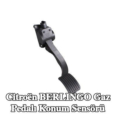 METZGER Gaz pedalı konum sensörü — 2012 Citroën Berlingo