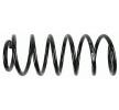 SACHS Helezon yay — SEAT Inca (1)