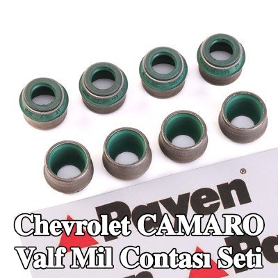 PAYEN Valf mil contası seti — 1997 Chevrolet Camaro