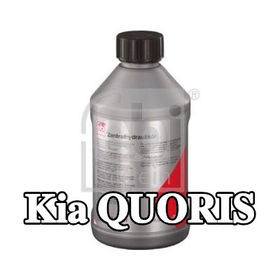 FEBI BILSTEIN زيت هيدروليكي — Kia Quoris