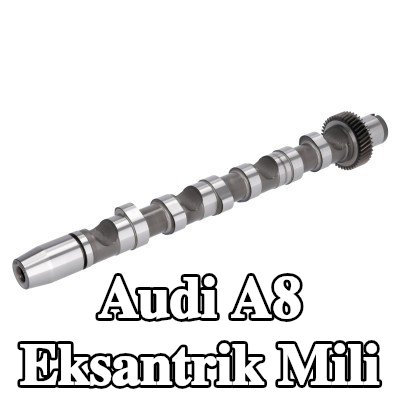 FEBI BILSTEIN Eksantrik Mili Emme Tarafı, silindir için 1-3 — 2002 Audi A8