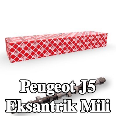 FEBI BILSTEIN Eksantrik Mili — Peugeot J5