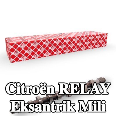 FEBI BILSTEIN Eksantrik Mili — 2000 Citroën Relay