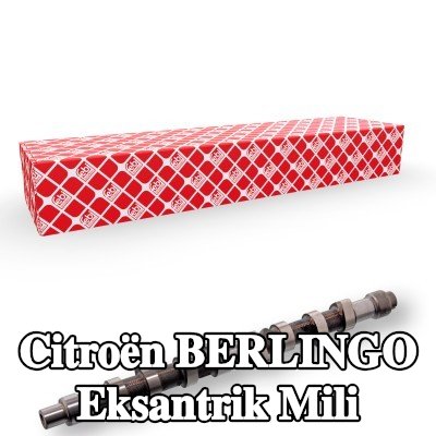 FEBI BILSTEIN Eksantrik Mili — 2000 Citroën Berlingo
