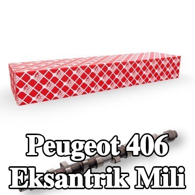 FEBI BILSTEIN Eksantrik Mili — Peugeot 406