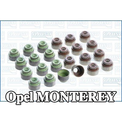 AJUSA مجموعة سدادات صمامات الصمامات — Opel Monterey