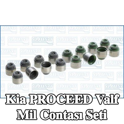 AJUSA Valf mil contası seti — 2012 Kia Proceed