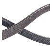 RIDEX PLUS Serpantin kayışı 833mm, Number of ribs: 4 — Honda Smx (4)