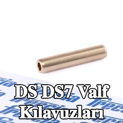 FRECCIA Valf Kılavuzları — DS Ds7