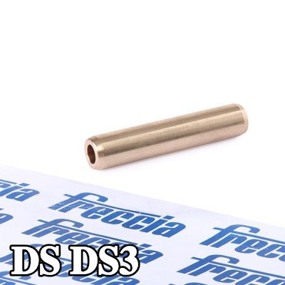 FRECCIA أدلة الصمامات — 2016 DS Ds3