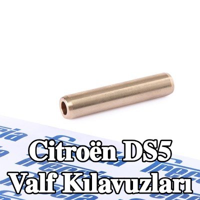 FRECCIA Valf Kılavuzları — Citroën Ds5