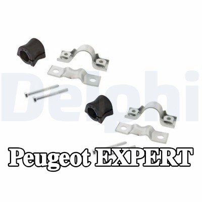 DELPHI حامل، تثبيت المثبت — Peugeot Expert