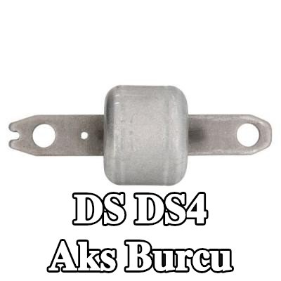 REINHOCH Aks burcu Arka Aks, her iki taraf — DS Ds4