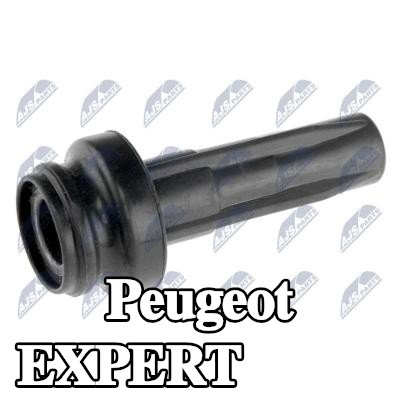 NTY قابس، ملف — Peugeot Expert
