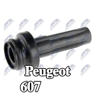 NTY قابس، ملف — Peugeot 607