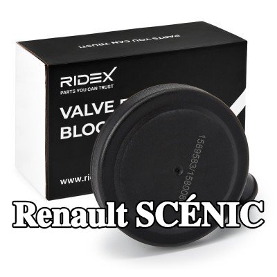 RIDEX صمام, فتحة تهوية كتلة المحرك مع حشية/مانع تسرب — 2003 Renault Scénic