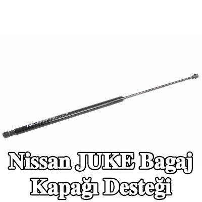 ACKOJA Bagaj kapağı amortisörü (Her iki taraf), 648mm — Nissan Juke