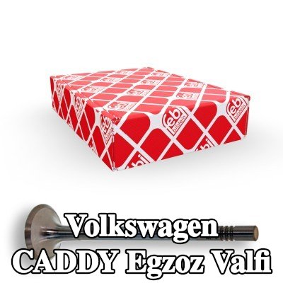 FEBI BILSTEIN Egzoz valfi — 2016 Volkswagen Caddy