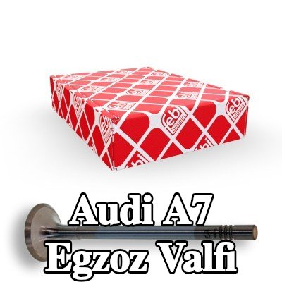 FEBI BILSTEIN Egzoz valfi — 2012 Audi A7