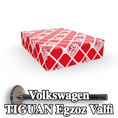 FEBI BILSTEIN Egzoz valfi — 2008 Volkswagen Tiguan