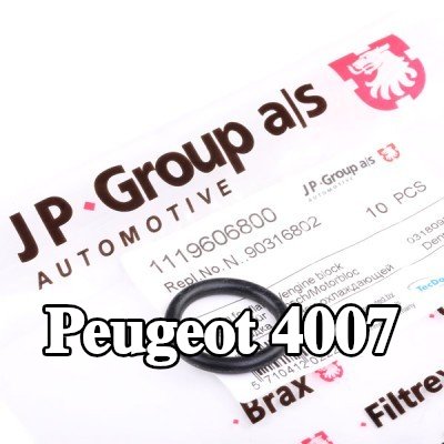 JP GROUP حشية، شفة سائل التبريد — Peugeot 4007