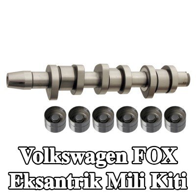 FEBI BILSTEIN Eksantrik mili kiti — 2005 Volkswagen Fox