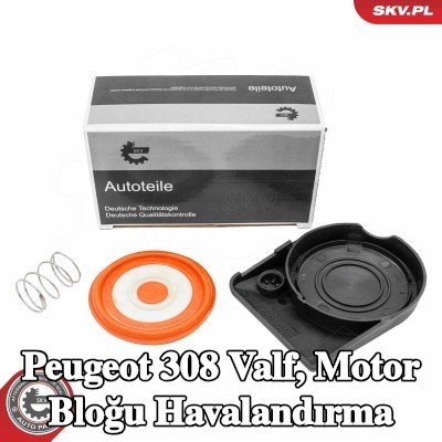 ESEN SKV Valf, motor bloğu havalandırma — Peugeot 308