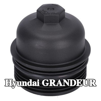 FEBI BILSTEIN غطاء مبيت فلتر الزيت مع حلقة مانعة للتسرب — Hyundai Grandeur