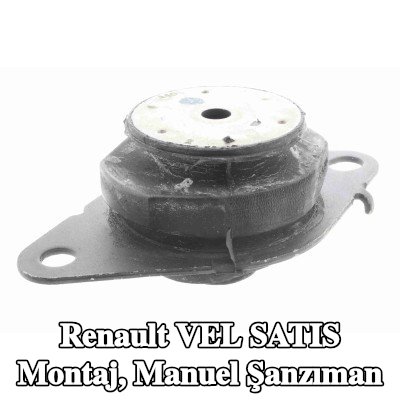 VAICO Montaj, manuel şanzıman Arka, Q+, orijinal ekipman üreticisi kalitesi — Renault Vel Satis