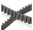 RIDEX PLUS Triger Kayışı Diş Sayısı: 117, 1114mm — Ford Courier (4)
