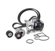 INA Water Pump + V-Ribbed Belt Kit Check alternator freewheel clutch & replace if necessary — BMW X1 (2)