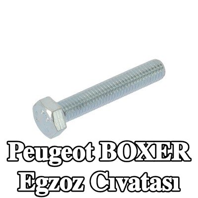 WALKER Egzoz cıvatası — 2008 Peugeot Boxer
