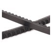 RIDEX PLUS V-kayışı 1025mm — Citroën Synergie (4)