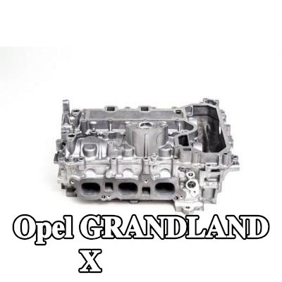 AMC رأس الأسطوانة مع موجهات الصمامات, مع مقاعد الصمامات, مع نوابض الصمامات, مع صمامات — Opel Grandland X