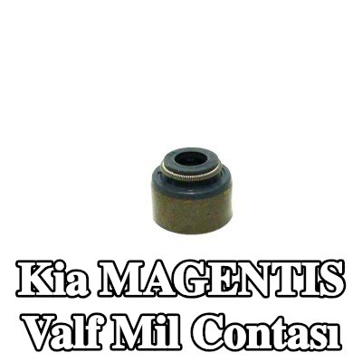 ELRING Valf mil contası — Kia Magentis