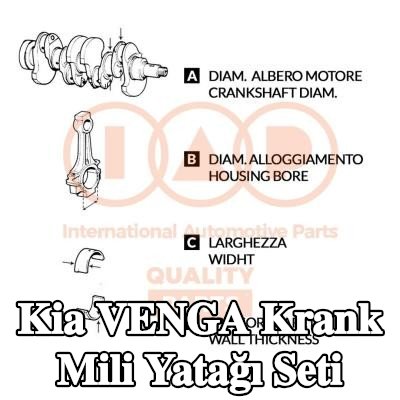 IAP QUALITY PARTS Krank mili yatağı seti — Kia Venga